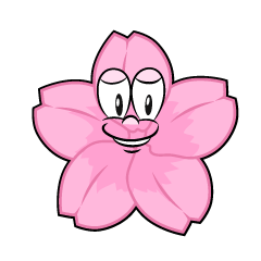 Cherry Blossom