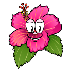Hibiscus