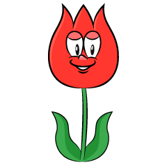 Tulip