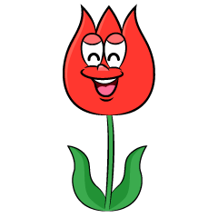Smiling Tulip