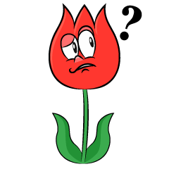 Thinking Tulip