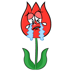 Crying Tulip