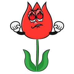 Enthusiasm Tulip
