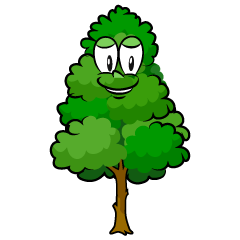 Tall Tree