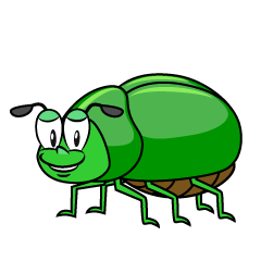 Beetle