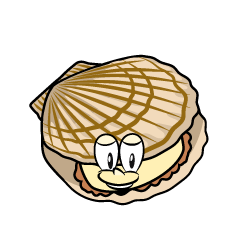 Scallop