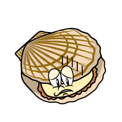 Depressed Scallop