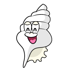 Smiling Shell