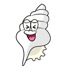 Laughing Shell