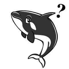 Thinking Orca
