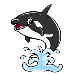 Cool Orca