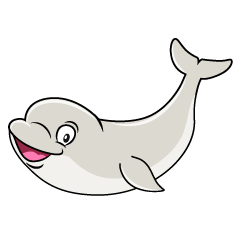 Beluga Whale