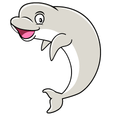 Smiling Beluga Whale