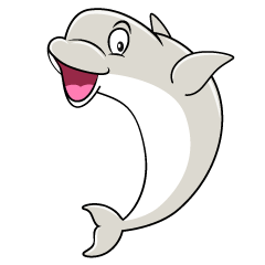 Surprising Beluga Whale