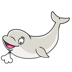 Relaxing Beluga Whale