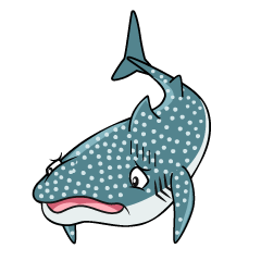 Depressed Whale Shark