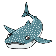 Cool Whale Shark