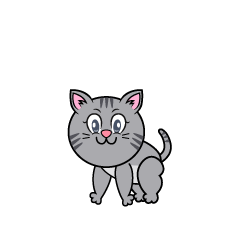 Gray Tabby