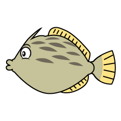 Filefish