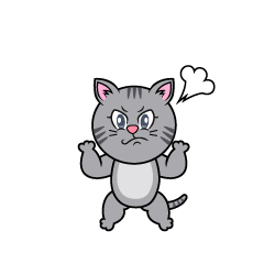 Angry Gray Tabby