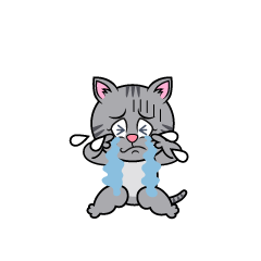 Crying Gray Tabby