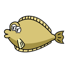 Flounder