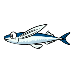 Flying Fish