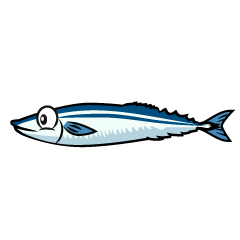 Saury