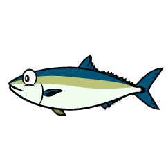 Yellowtail