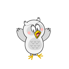 Surprising White Owl