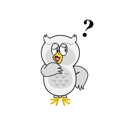 Thinking White Owl
