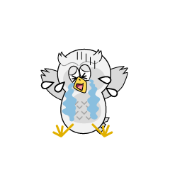 Crying White Owl