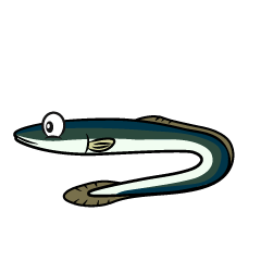 Eel