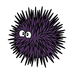 Sea Urchin