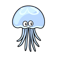 Jellyfish