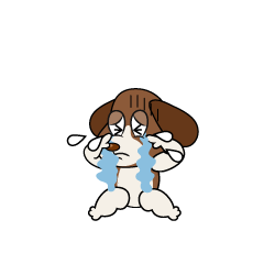 Crying Beagle
