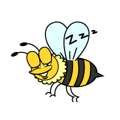 Sleeping Honey Bee