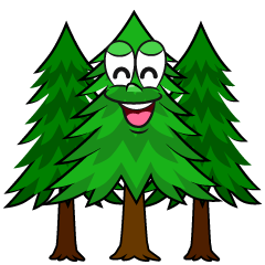 Smiling Forest