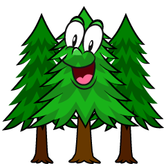 Surprising Forest