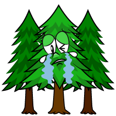 Crying Forest