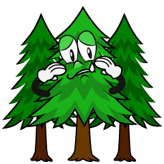 Sad Forest
