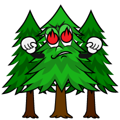 Enthusiasm Forest