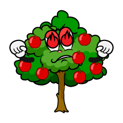 Enthusiasm Apple Tree