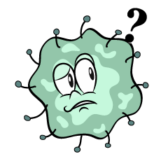 Thinking Mold