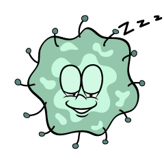 Sleeping Mold