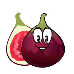 Fig