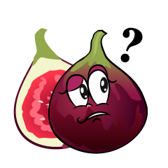 Thinking Fig