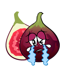 Crying Fig