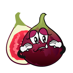 Sad Fig