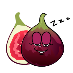Sleeping Fig